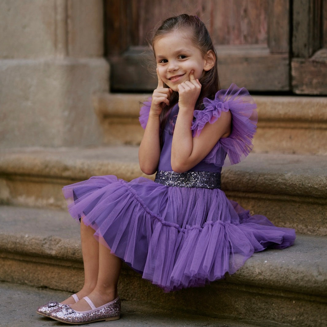 Ruffled Mesh Dress in Purple